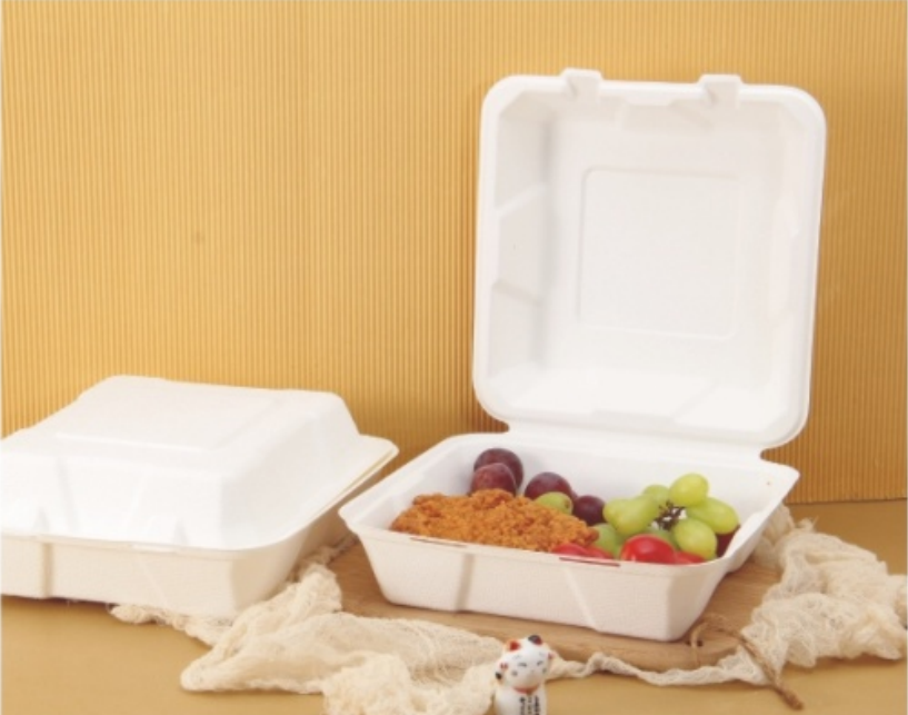 sugarcane lunch box from mmcis china